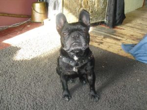 Miniem-tuig-heeft-een-driehoek-op-het-borstbeen